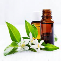 Natural Skincare Academy